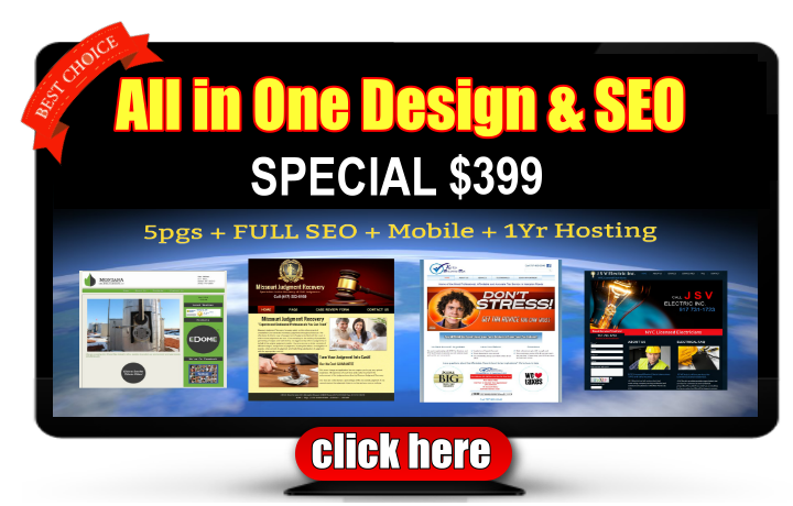 $399 Business Web Design SEO