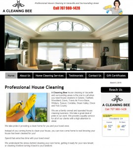 House Cleaning Website Design